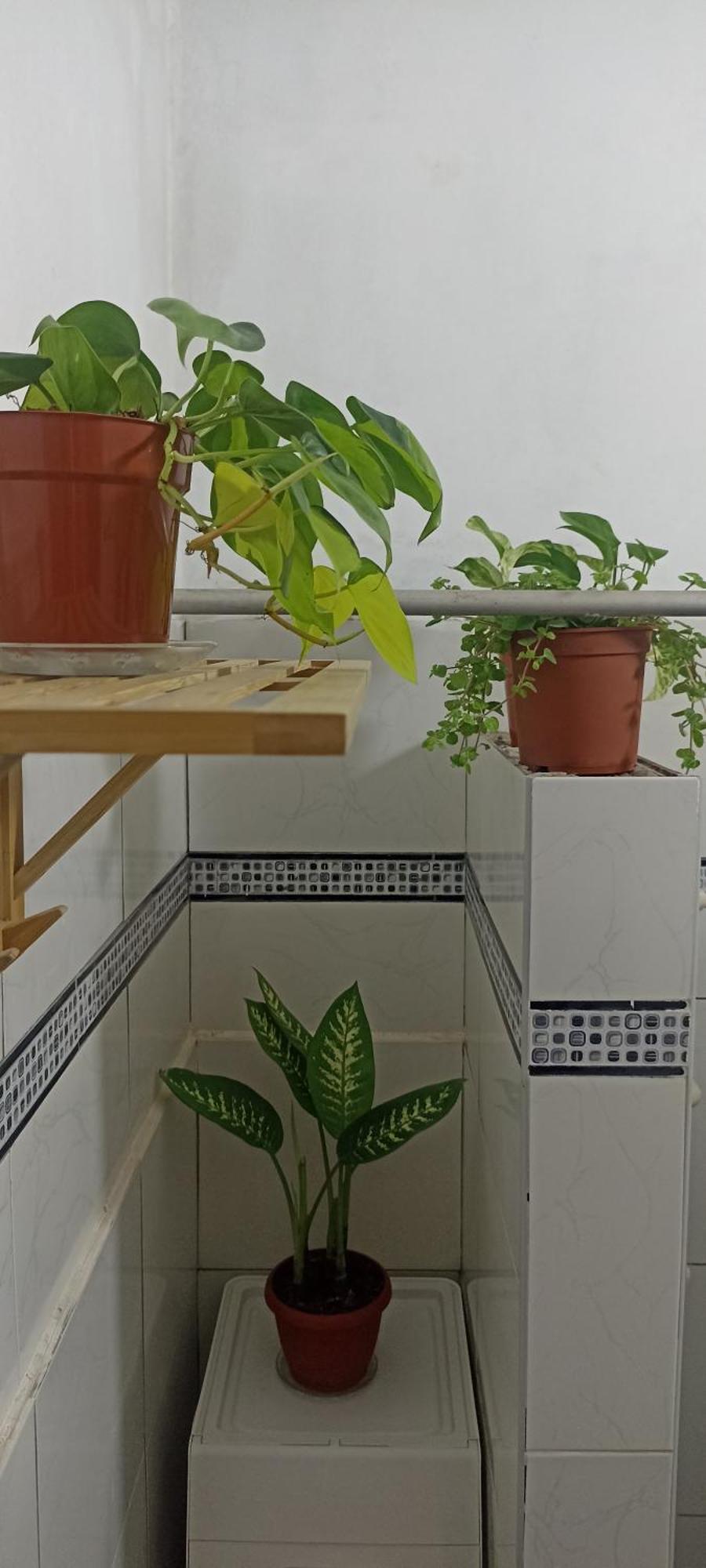 Casita Libertad Barranco Apartment Lima Luaran gambar