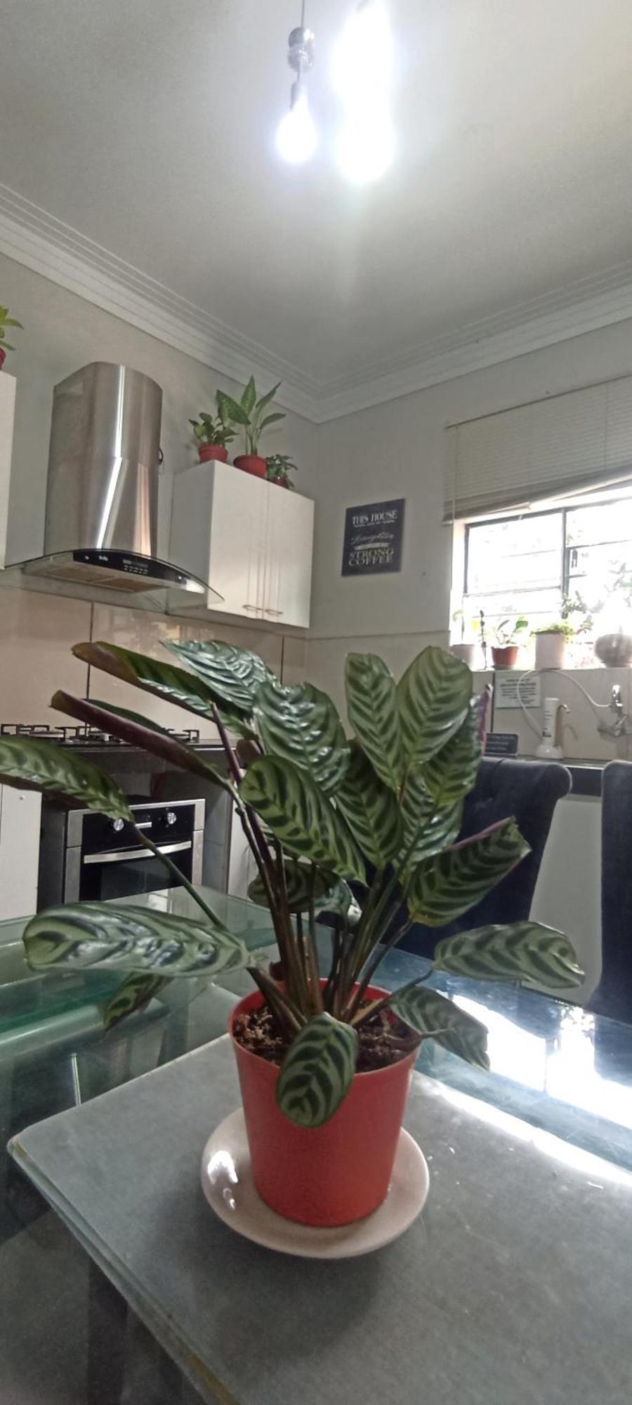 Casita Libertad Barranco Apartment Lima Luaran gambar